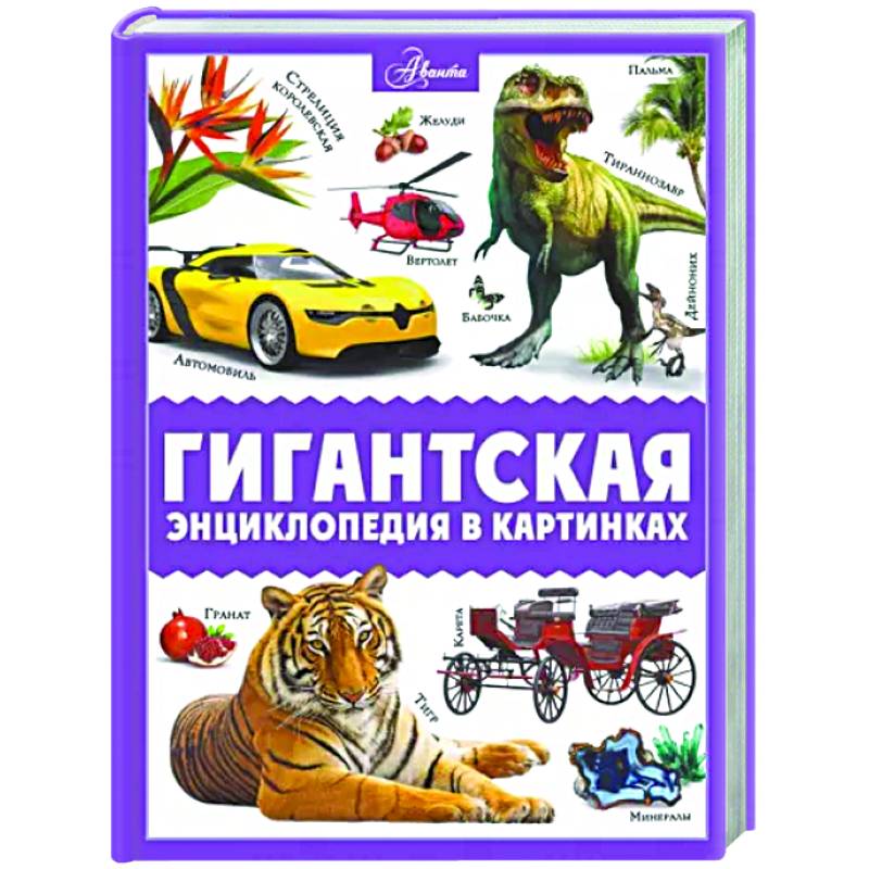 Фото Гигантская энциклопедия в картинках