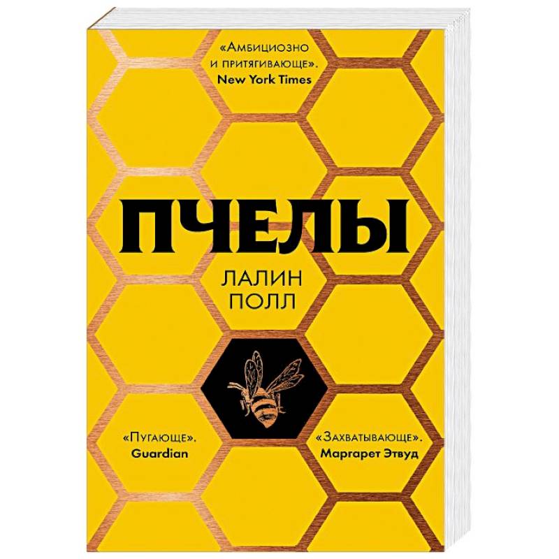 Фото Пчелы