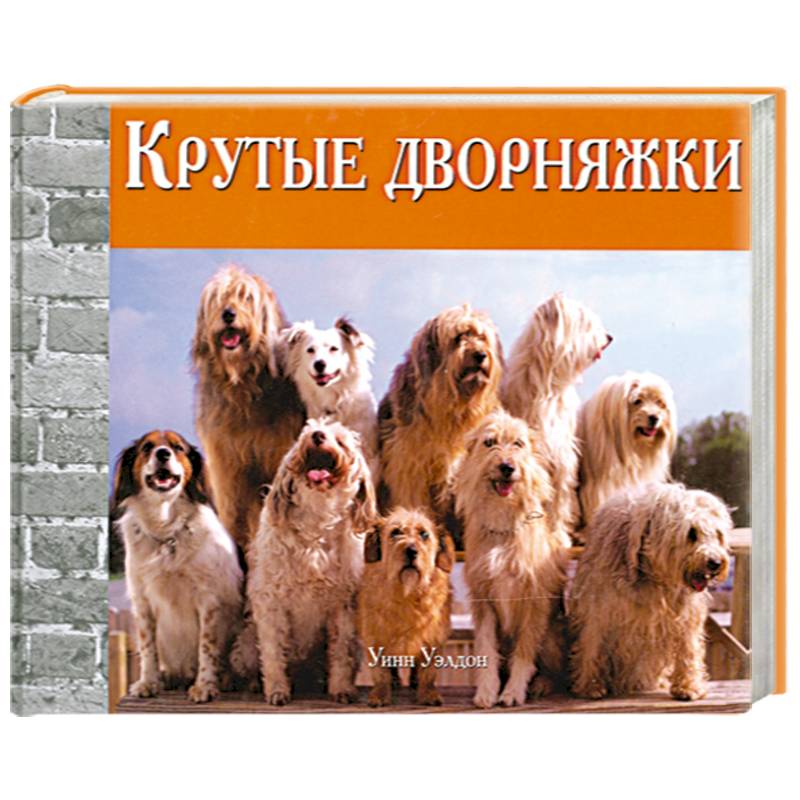 Фото Крутые дворняжки