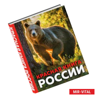 Фото Красная книга России
