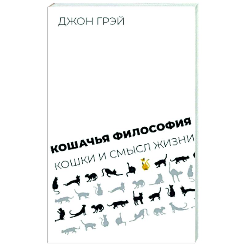 Фото Кошачья философия. Кошки и смысл жизни