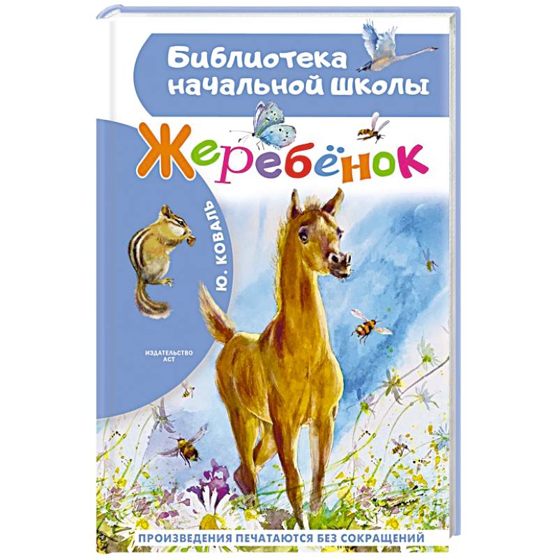 Фото Жеребенок