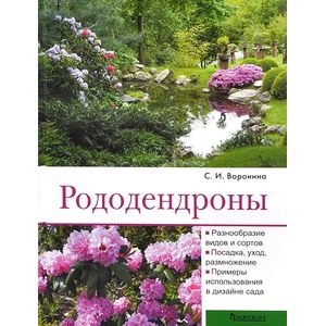 Фото Рододендроны