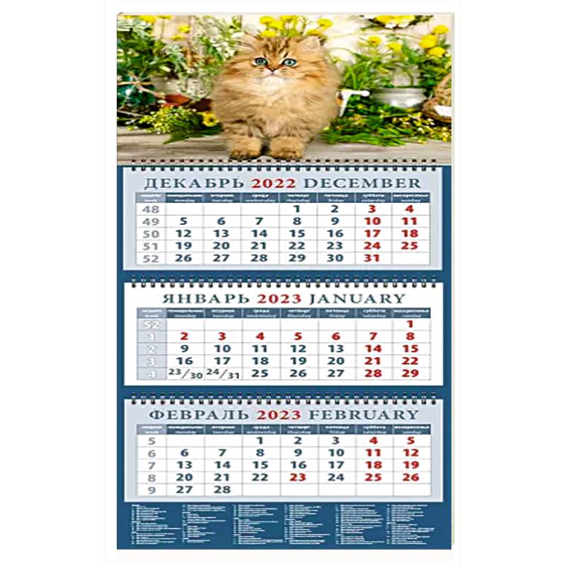 Фото Календарь Год кота. Очаровательный малыш, на 2023 год