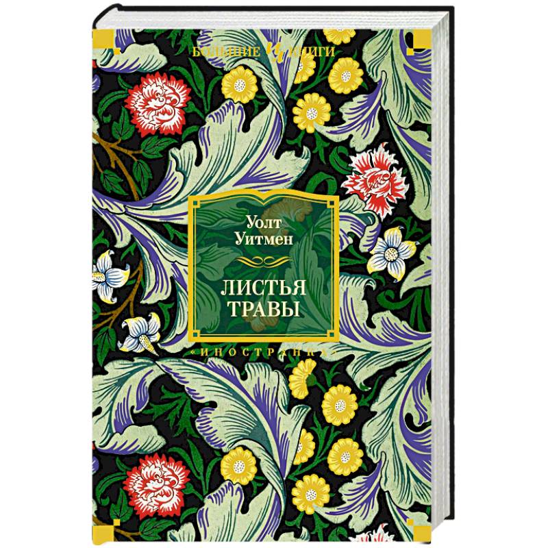 Фото Листья травы