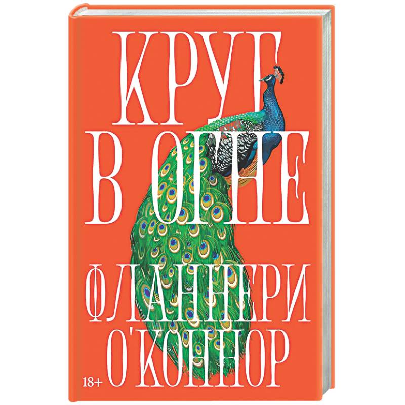 Фото Круг в огне