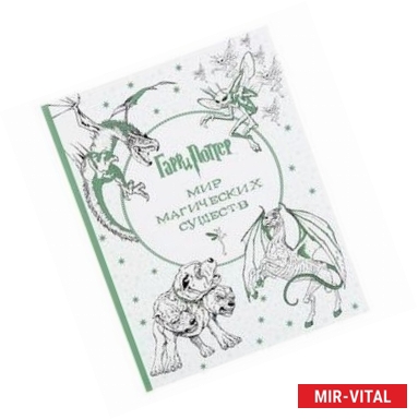 Фото Гарри Поттер. Мир магических существ