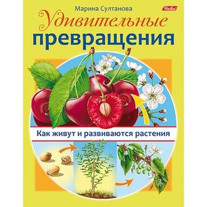 Фото Удивительные превращения. Как живут и развиваются растения