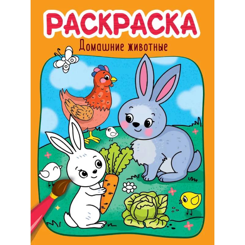 Фото Раскраска. Домашние животные