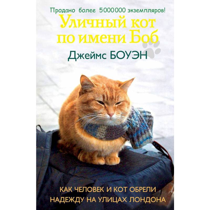 Фото Уличный кот по имени Боб. Как человек и кот обрели надежду на улицах Лондона
