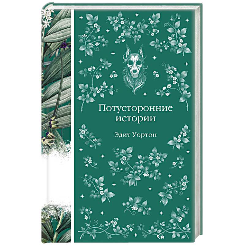 Фото Потусторонние истории