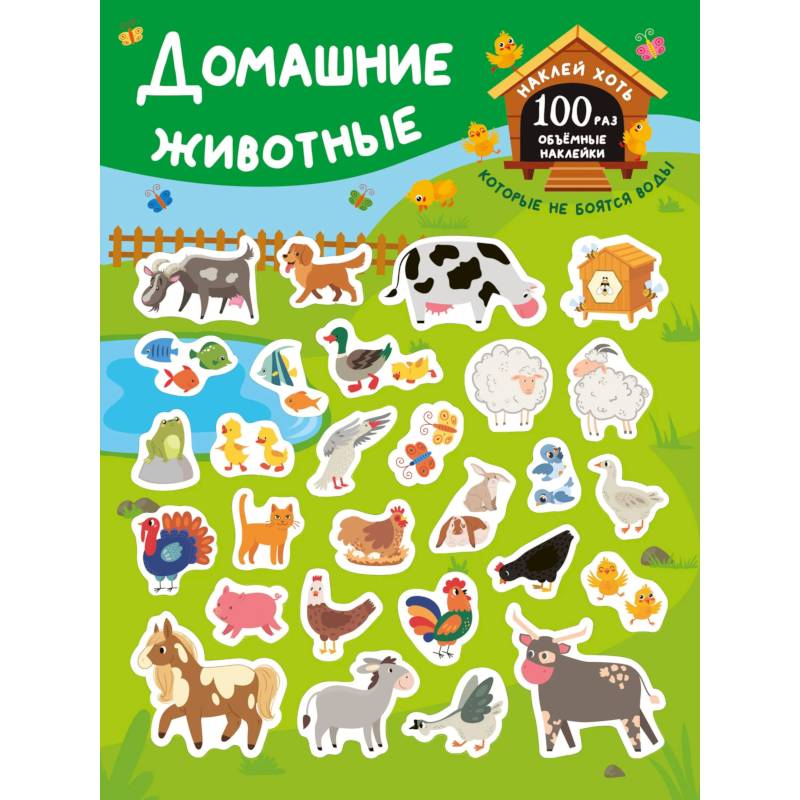 Фото Домашние животные
