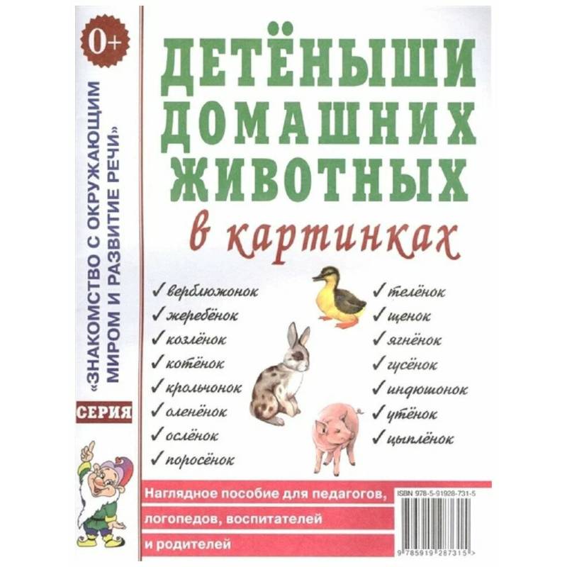 Фото Детеныши домашних животных в картинках