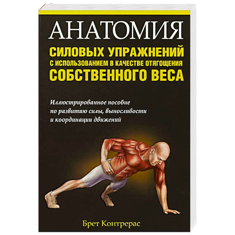 Фото Анатомия силовых упражнений с использованием