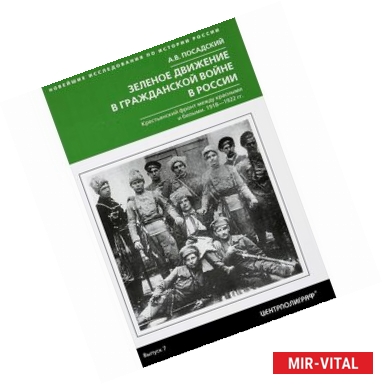 Фото Зеленое движение в гражданской войне России в России. Крестьянский фронт между красными и белыми