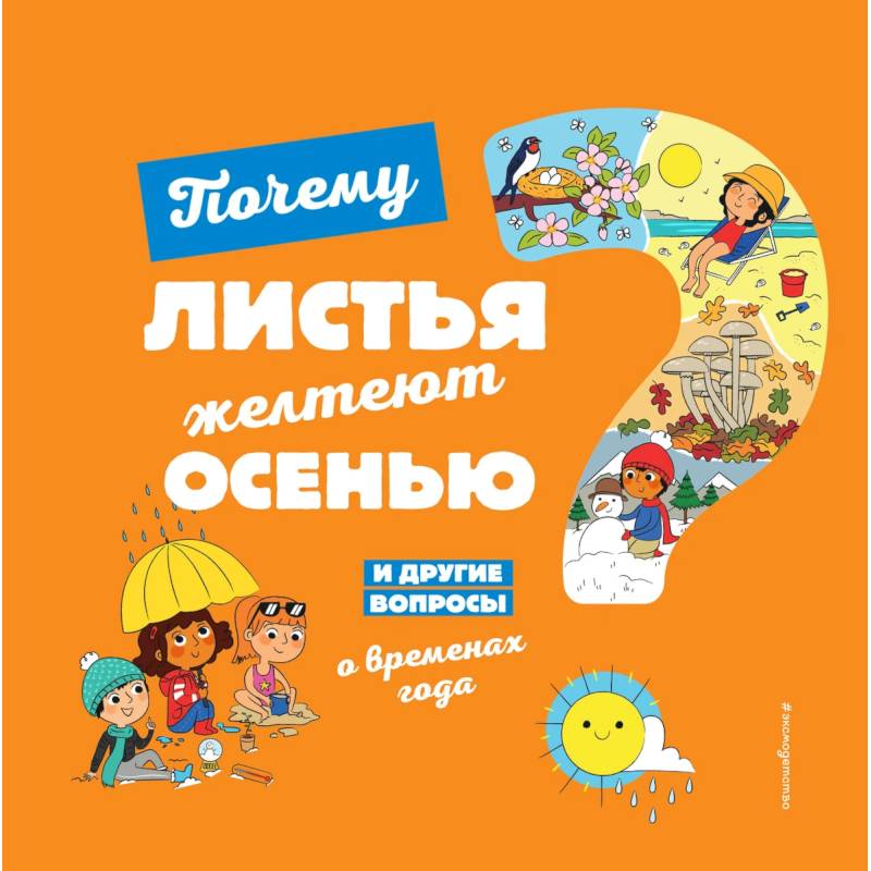 Фото Почему листья желтеют осенью? И другие вопросы о временах года
