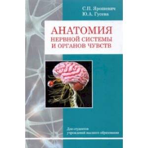 Фото Анатомия нервной системы и органов чувств