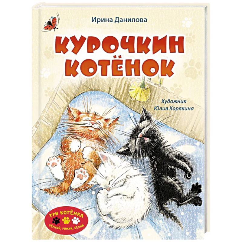 Фото Курочкин котенок