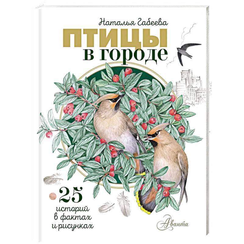 Фото Птицы в городе. 25 историй в фактах и рисунках