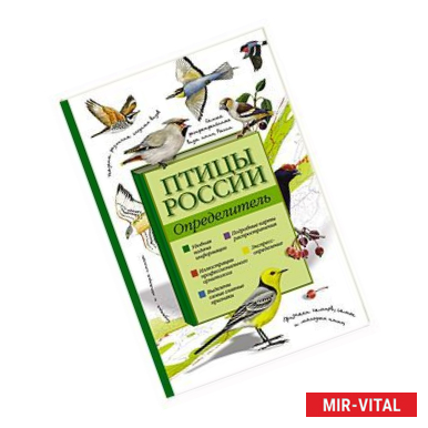 Фото Птицы России. Определитель