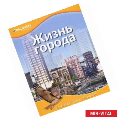 Фото Жизнь города