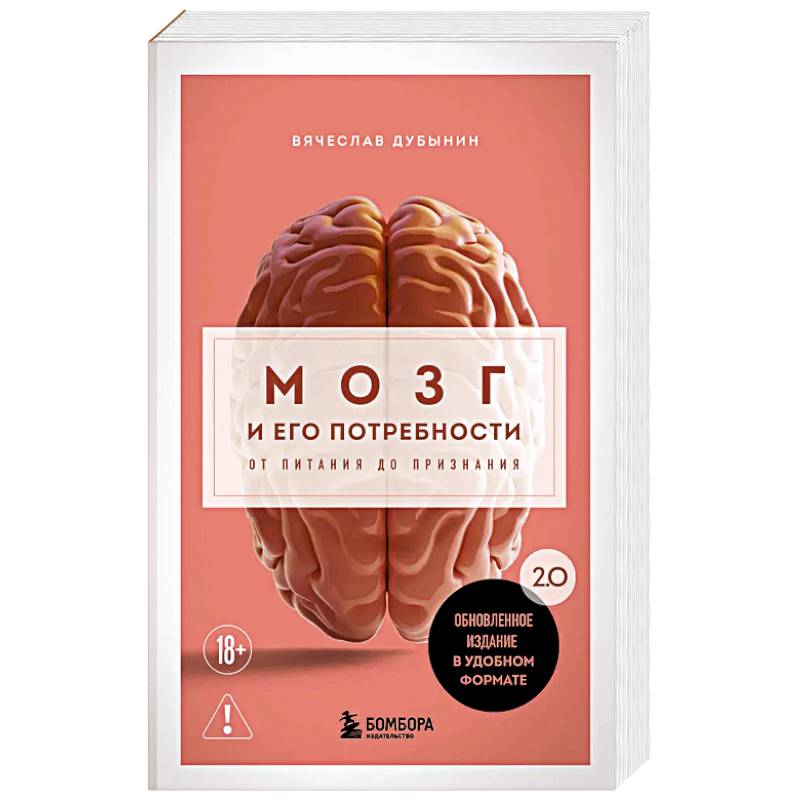 Фото Мозг и его потребности. 2.0 от питания до признания