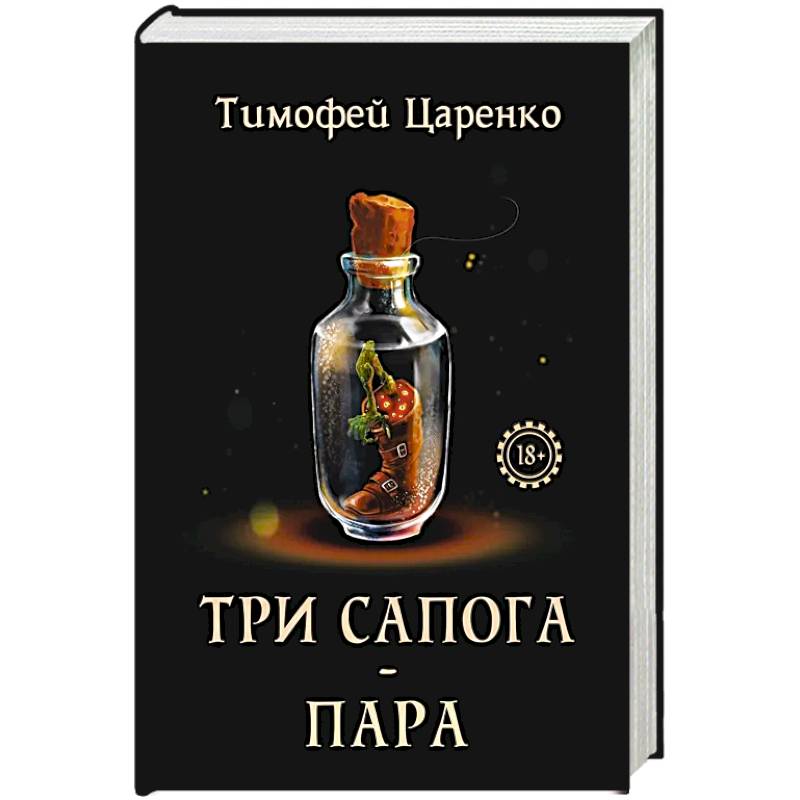 Фото Три сапога - пара