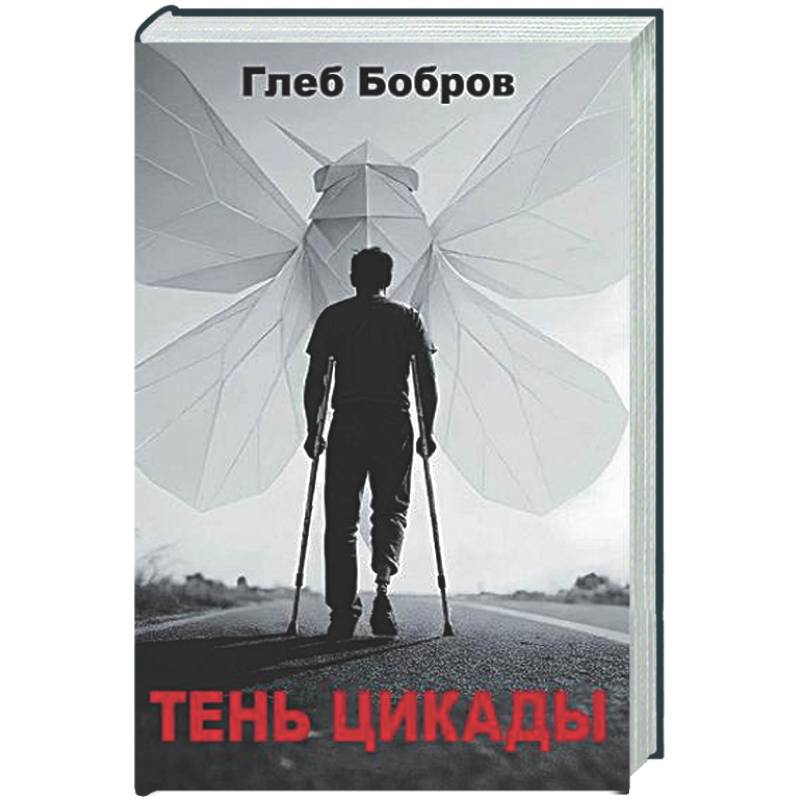 Фото Тень цикады