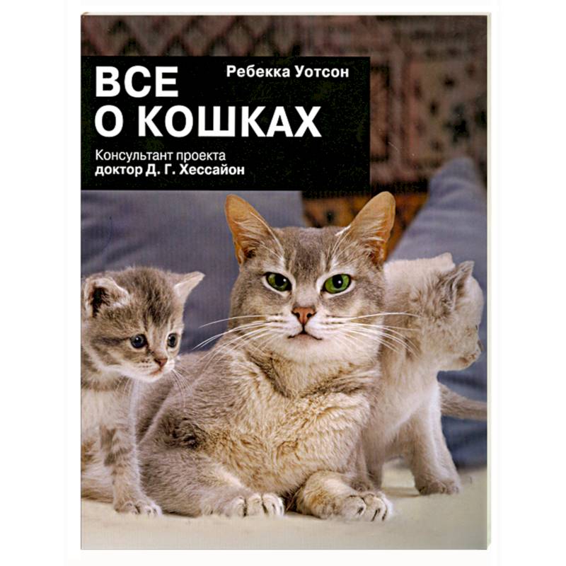 Фото Все о кошках