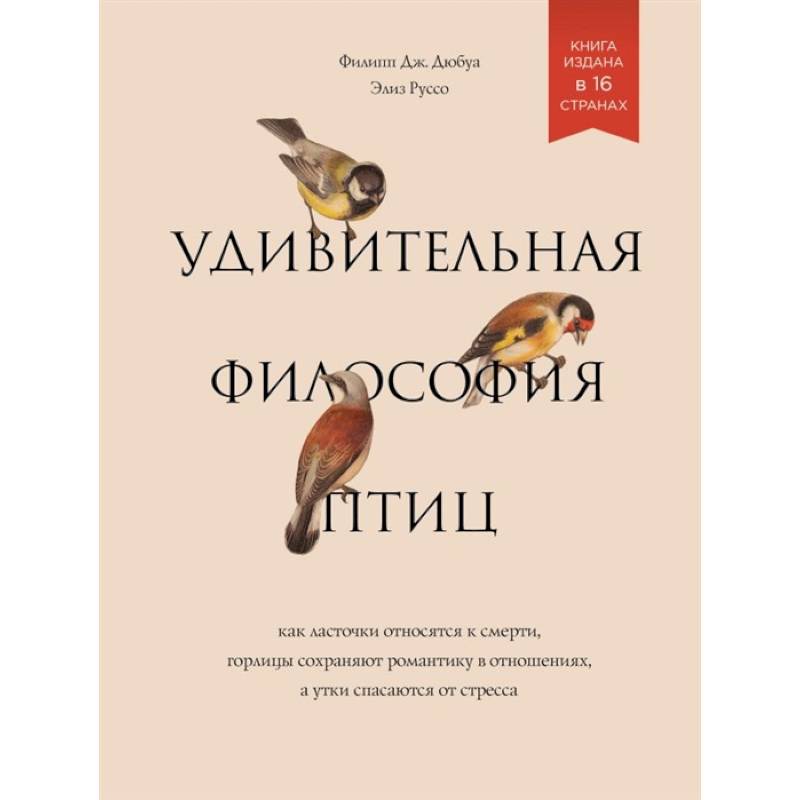 Фото Удивительная философия птиц. Как ласточки относятся к смерти, горлицы сохраняют романтику в отношениях, а утки спасаются от стресса