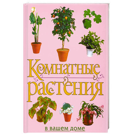Фото Комнатные растения в вашем доме