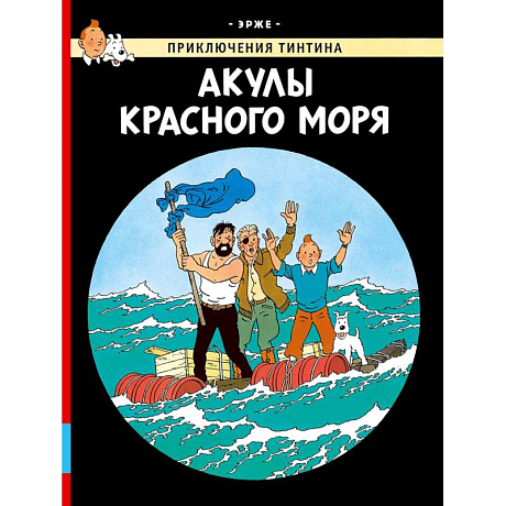 Фото Акулы Красного моря