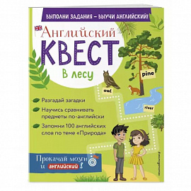 Английский квест. В лесу. Степени сравнения прилагательных и 100 полезных слов