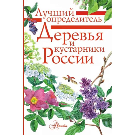 Фото Деревья и кустарники России. Определитель