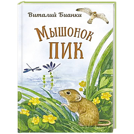 Фото Мышонок Пик