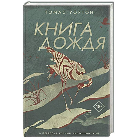 Фото Книга дождя