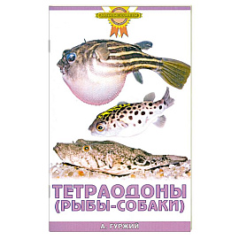 Тетраодоны (рыбы-собаки)