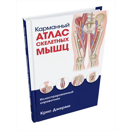 Фото Карманный атлас скелетных мышц: Иллюстр.справочник
