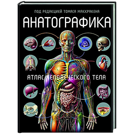 Фото Анатографика. Атлас человеческого тела