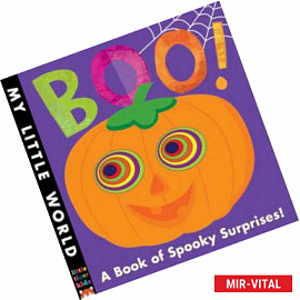 Boo!: A book of spooky surprises