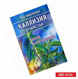 Каллизия душистая: мифы и реальность