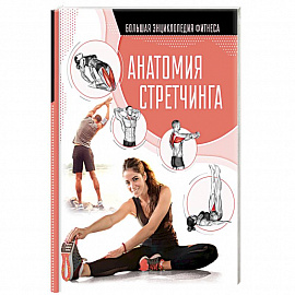Анатомия стретчинга