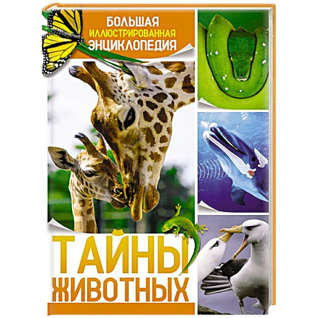Фото Тайна животных. Большая иллюстрированная энциклопедия