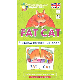 Игровой развивающий набор: Толстый кот. Fat Cat. Читаем сочетания слов. Английский язык.