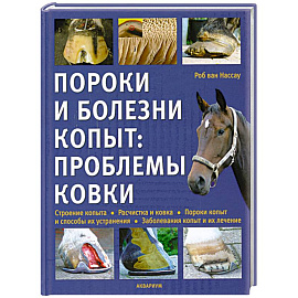 Пороки и болезни