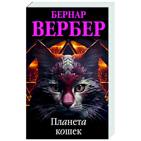 Фото Планета кошек