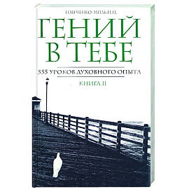 Гений в тебе. 555 уроков духовного опыта.Книга 2