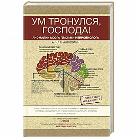 Ум тронулся, господа! Аномалии мозга глазами нейробиолога