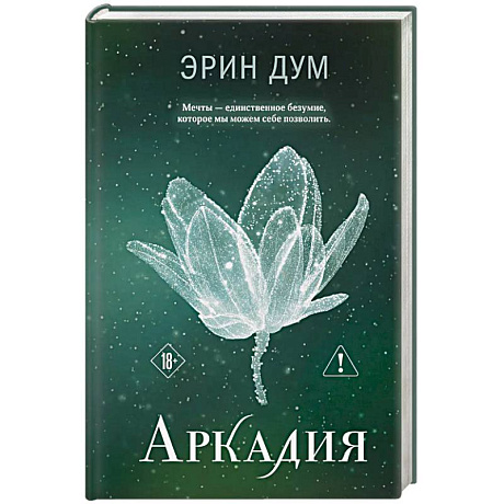 Фото Аркадия (#2)