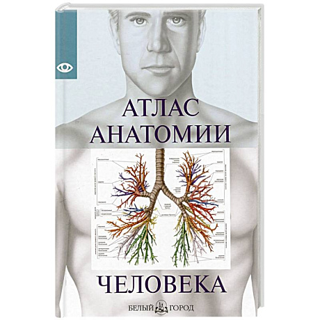 Фото Атлас анатомии человека